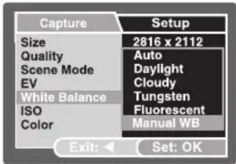 Capture Size Quality Scene Mode EV White Balance ISO Color Setup 2816 x 2112 Auto Daylight Cloudy Tungsten Fluorescent Manual WB Exit: Set: OK
