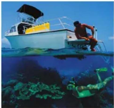 SEALIFE ReefMaster Mini SL320 - Recording Video Clips - 1