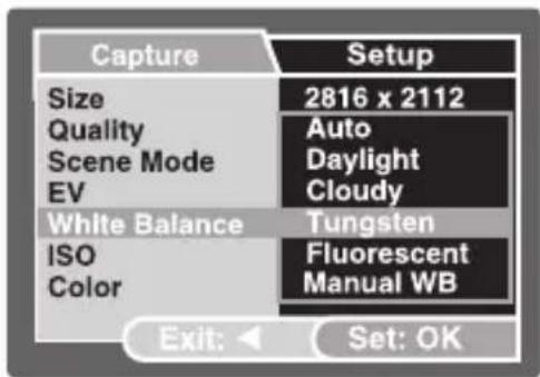 Capture Size Quality Scene Mode EV White Balance ISO Color Setup 2816 x 2112 Auto Daylight Cloudy Tungsten Fluorescent Manual WB Exit: Set: OK