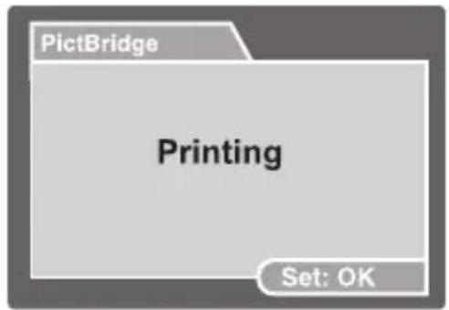 PictBridge Printing Set: OK