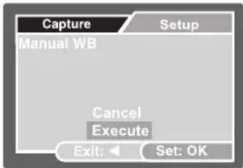 Capture Manual WB Cancel Execute Exit: Set: OK