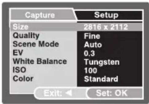 Capture Setup Size 2816 x 2112 Quality Fine Scene Mode Auto EV 0.3 White Balance Tungsten ISO 100 Color Standard Exit: Set: OK