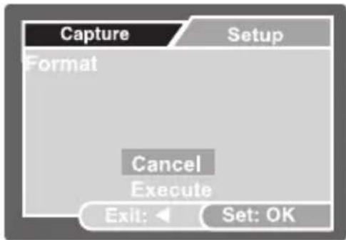 Capture Format Setup Cancel Execute Exit: Set: OK