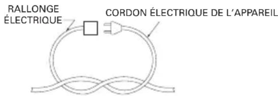 RALLONGE ÉLECTRIQUE CORDON ÉLECTRIQUE DE L'APPAREIL