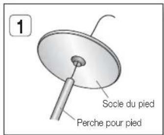 1 Socie du pied Perche pour pied