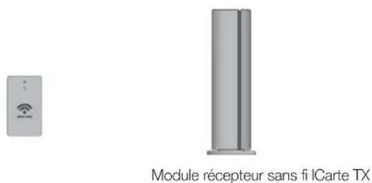 Module récepteur sans fi ICarte TX