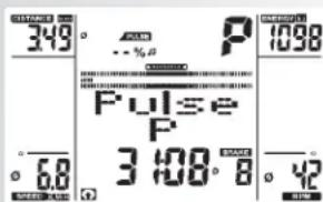349° P 1098 Pulse P 6.8 3 100° 8° 42 SPEED LAKE