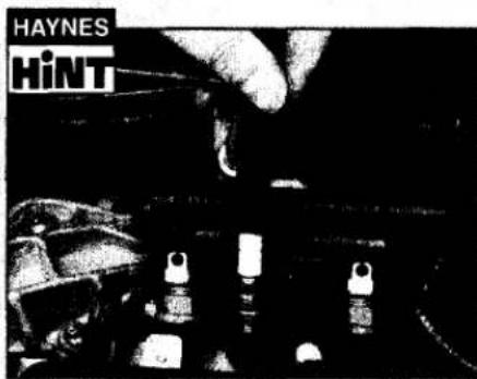 HAYNES HINT