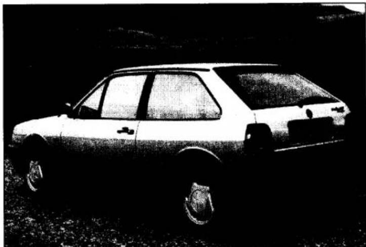 VOLKSWAGEN Polo (1990) - Acknowledgements - 2