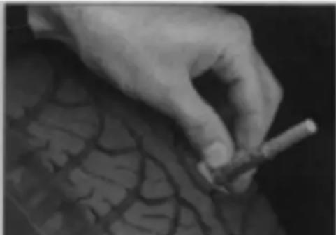 VOLKSWAGEN Polo (1990) - Tread Depth - visual check - 1