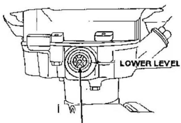 LOWER LEVEL