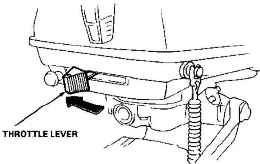 THROTTLE LEVER