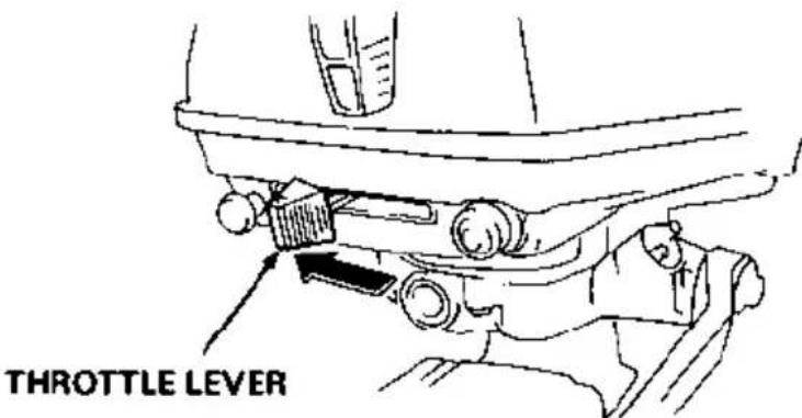THROTTLE LEVER
