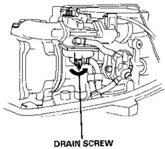 DRAIN SCREW