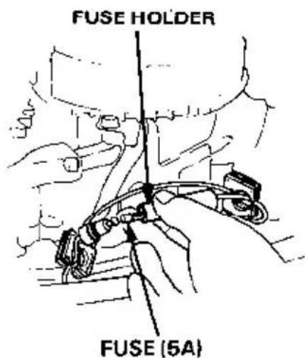 FUSE HOLDER FUSE (5A)