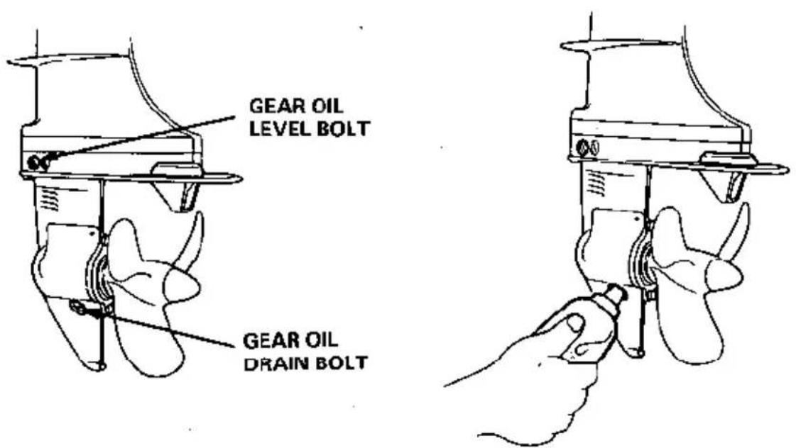 GEAR OIL LEVEL BOLT GEAR OIL DRAIN BOLT
