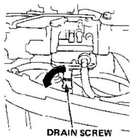 DRAIN SCREW