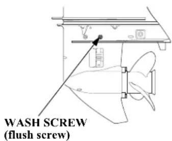 WASH SCREW (flush screw)