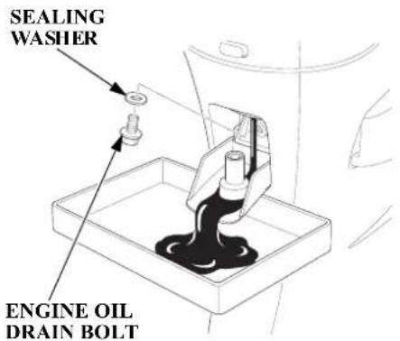 SEALING WASHER ENGINE OIL DRAIN BOLT