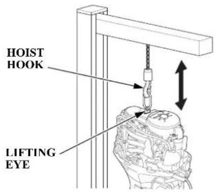 HOIST HOOK LIFTING EYE