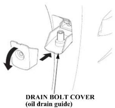 DRAIN BOLT COVER (oil drain guide)