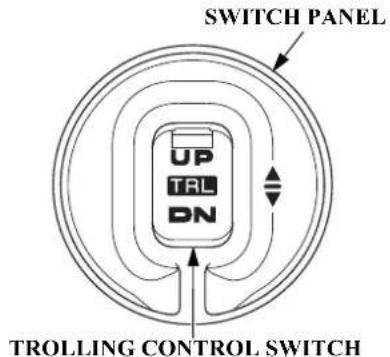 SWITCH PANEL UP TAL DN TROLLING CONTROL SWITCH