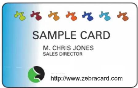SAMPLE CARD M. CHRIS JONES SALES DIRECTOR http://www.zebracard.com
