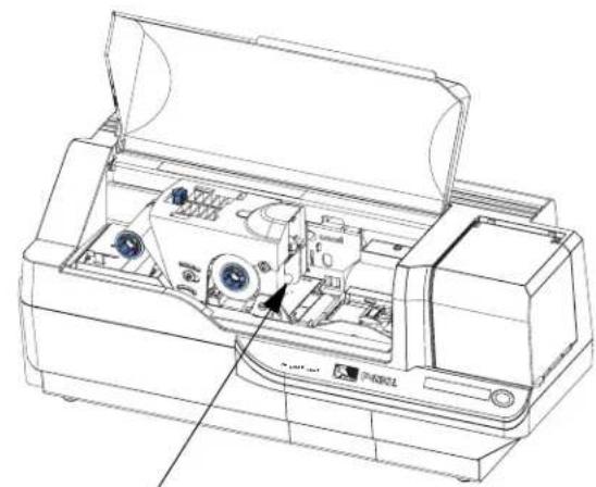 ZEBRA P430i - Installation de la cartouche de nettoyage des cartes - 3
