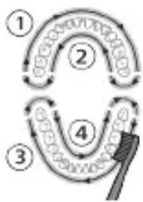 graph TD A["Step 1"] --> B["Step 2"] B --> C["Step 3"] C --> D["Step 4"] D --> A