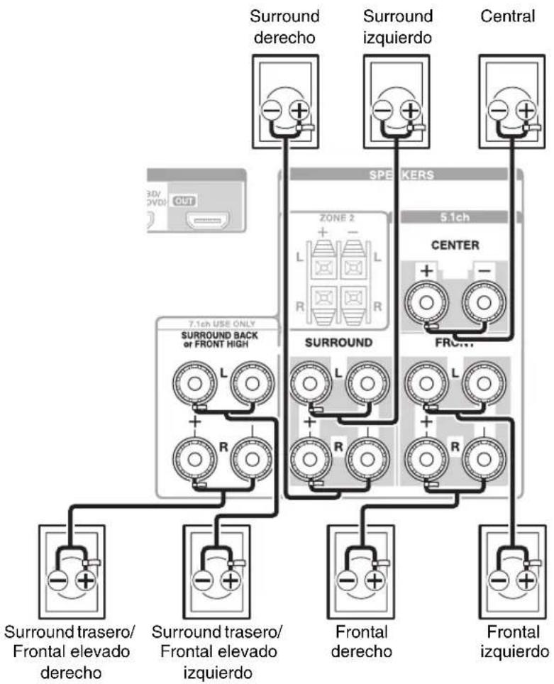 ONKYO TX-NR579 - Conexión de los cables de altavoz - 1