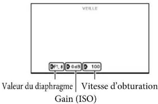 VEILLE F1, # 0 dB 100 Valeur du diaphragme Vitesse d'obturation Gain (ISO)