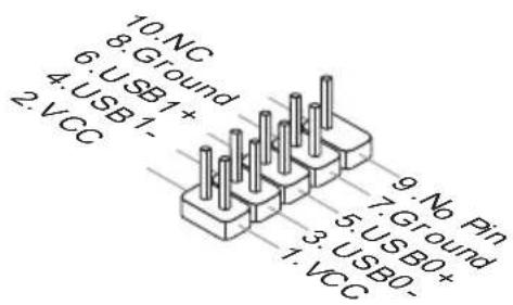 10. NC, 8. Ground, 6. USB1+, 4. USB1-, 2. VCC, 9. No Pin, 7. Ground, 5. USB0+, 3. USB0-, 1. VCC