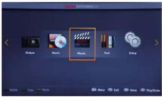 Media Innovations LLC Picture Music Movie Text Setup Delete Copy Paste Menu Exit Move Play/Enter