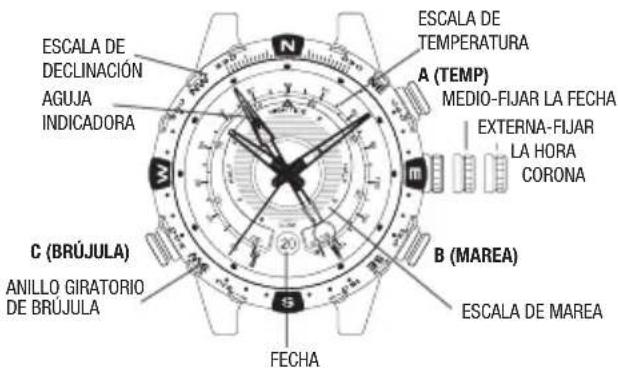 ESCALA DE DECLINACIÓN AGUJA INDICADORA C (BRÚJULA) ANILLO GIRATORIO DE BRÚJULA ESCALA DE TEMPERATURA A (TEMP) MEDIO-FIJAR LA FECHA EXTERNA-FIJAR LA HORA CORONA B (MAREA) ESCALA DE MAREA FECHA
