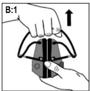 B:1