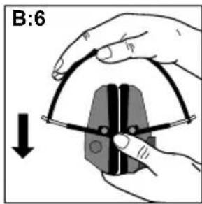 B:6