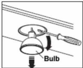 Bulb