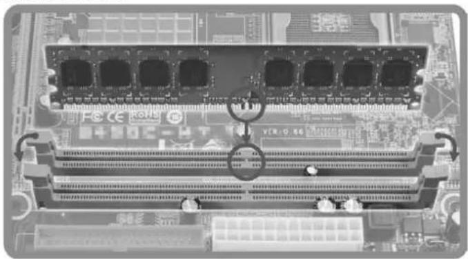 BIOSTAR TH55B HD - Memory Modules - 2