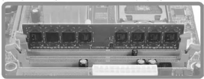 BIOSTAR TH55B HD - Memory Modules - 3