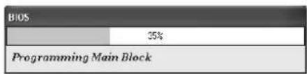 BIOS 35% Programming Main Block
