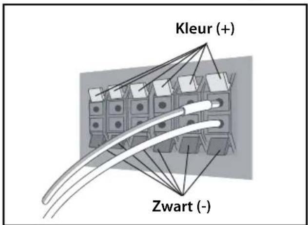 Kleur (+) Zwart (-)