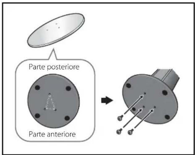 Parte posteriore Parte anteriore