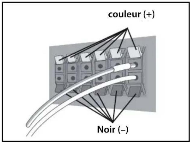 couleur (+) Noir (−)