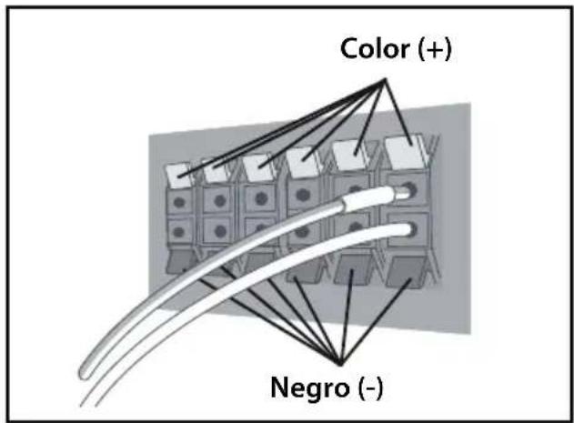 Color (+) Negro (-)