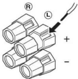 R L + -
