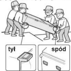 tyl spód
