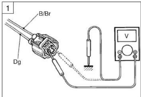 1 B/Br Dg V