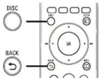 DISC BACK