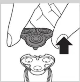 Illustration of a hand holding a circular object with concentric rings, next to a separate view of a frog-like creature (no text or symbols)