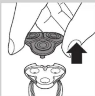 Illustration of a hand holding a circular object with concentric rings, next to a separate abstract shape with internal patterns (no text or symbols)